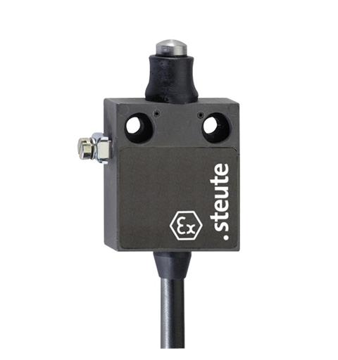 Ex Position switch Ex 12 W 1m IP65 (1CO) II 2G Ex d IIC T6